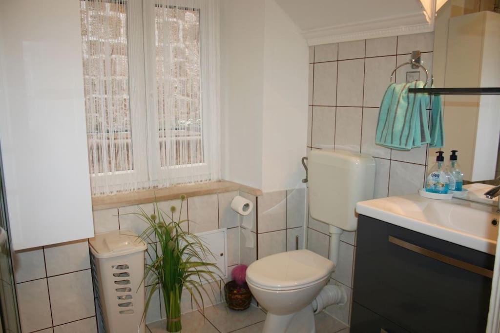 Apartmán Dragazzo *